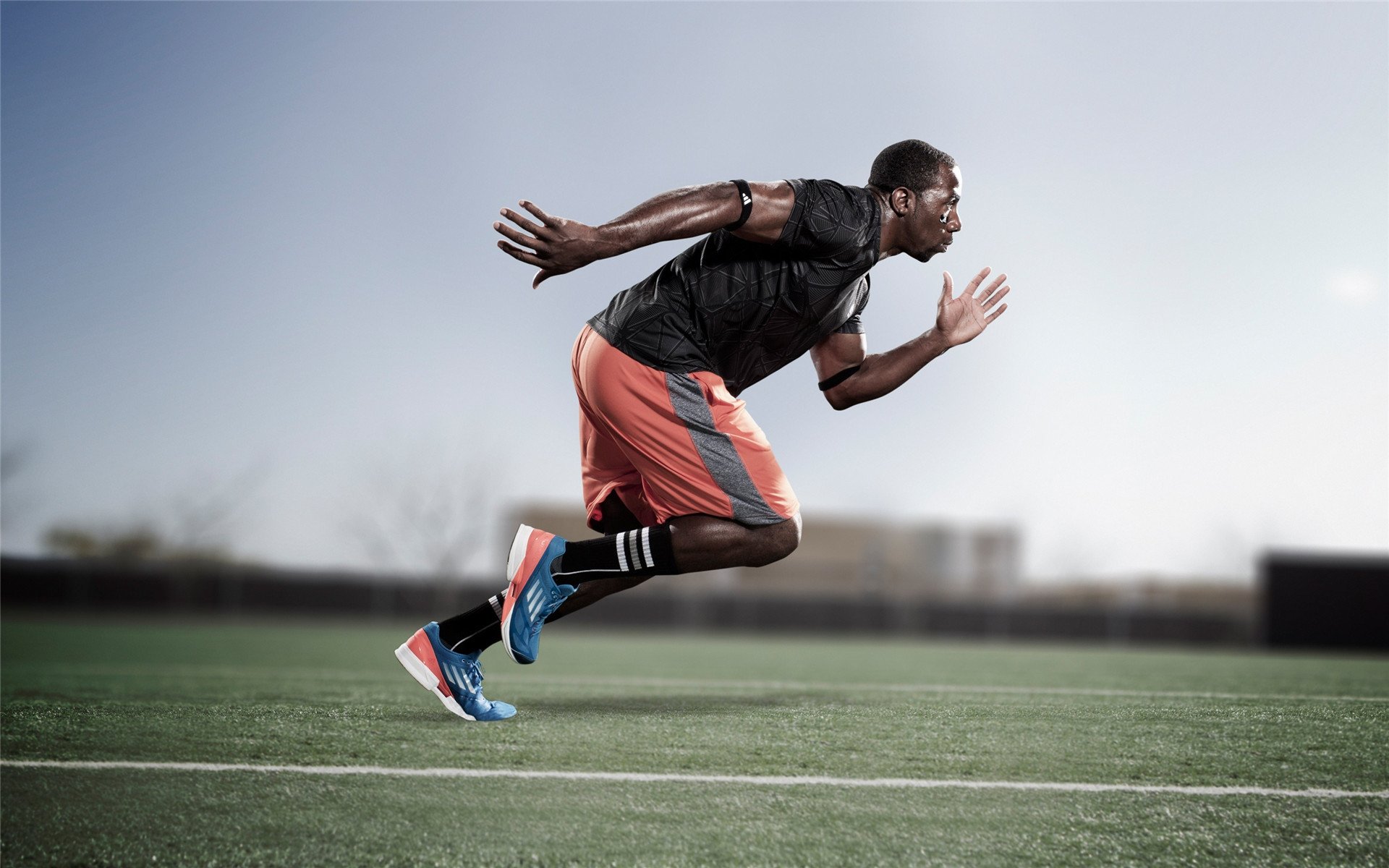 开云在线直播-风暴过后，当萨内撕碎郁金香，克罗地亚完成的重建与新生